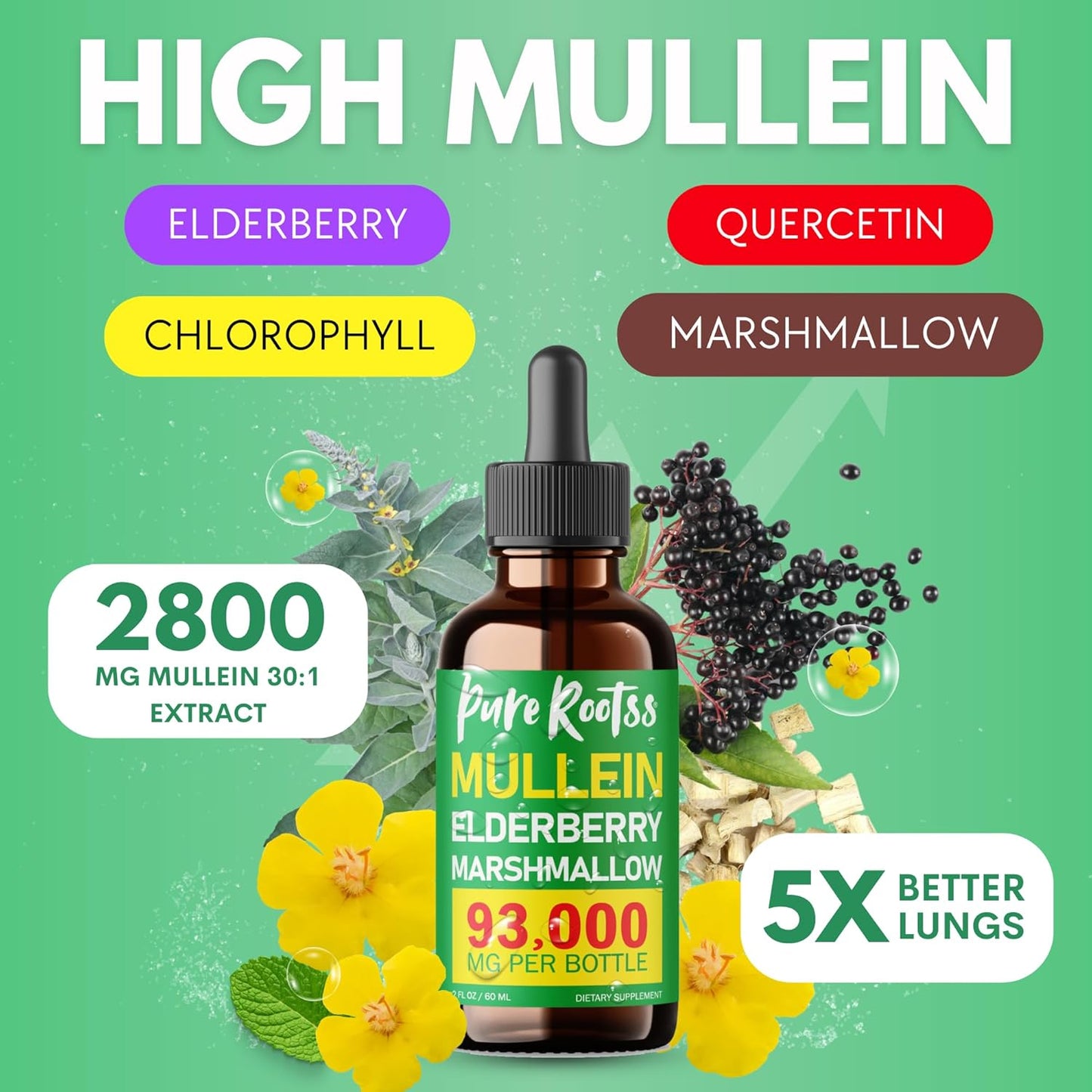 ⏰ BUY 1 GET 2 -Mullein Chlorophyll Drops for Lungs - 🔥Limited Time Discount