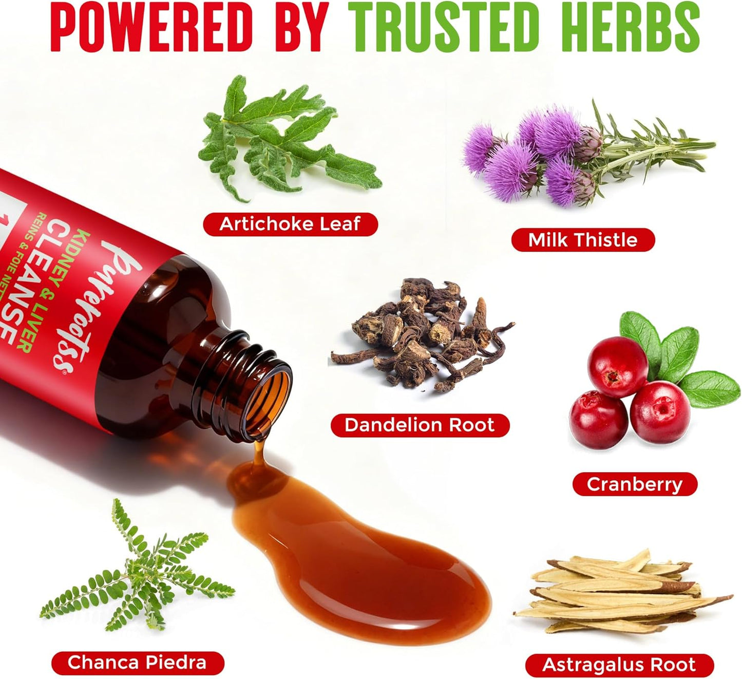 Kidney Cleanse Detox Drops Pack 2